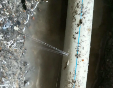 福清测漏水哪家好