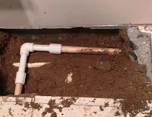 福清测漏水哪家好