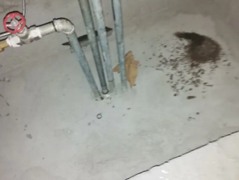 福清卫生间测漏水价格明细