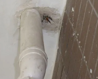 福清漏水检测哪家好